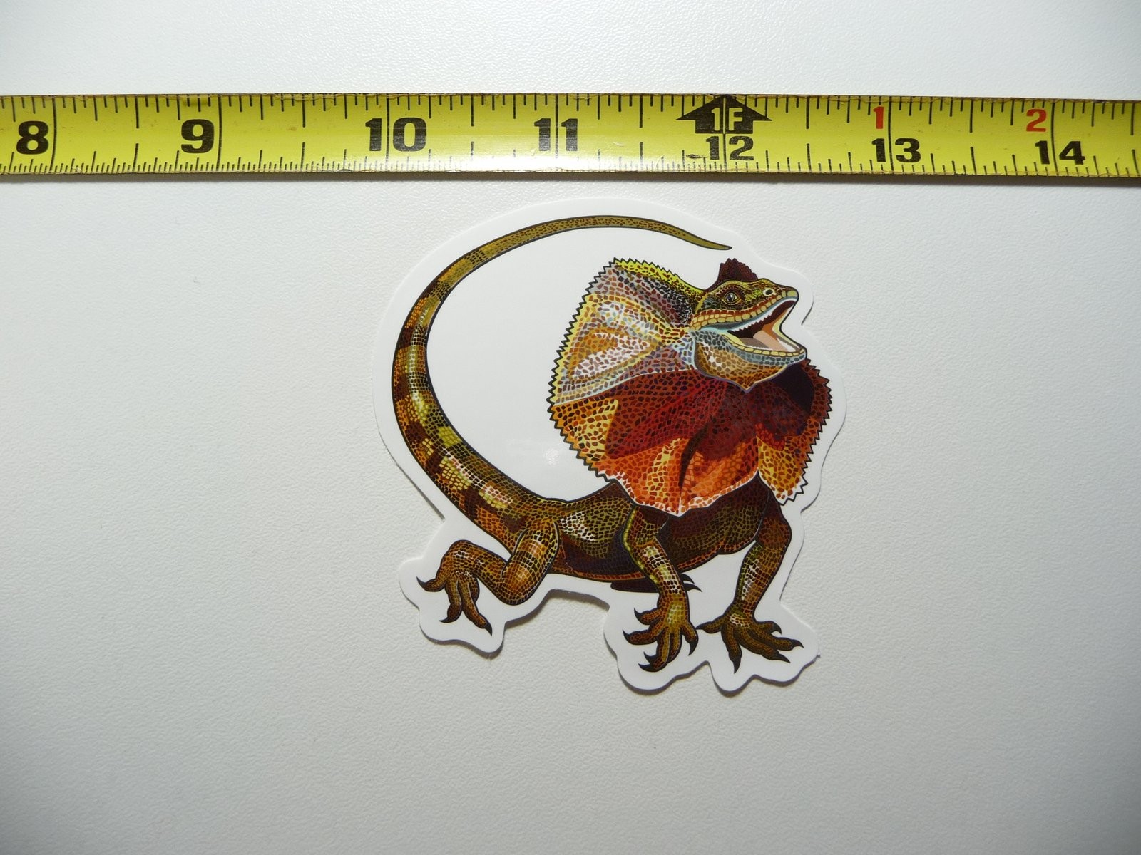 Frill Neck Lizard Decal Sticker - Wild Zoo Animal Fun Cute Design