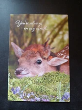 Funny Friendship Card