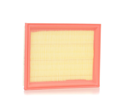 RIDEX 8A0043 Luftfilter für FORD Fiesta Mk5 Schrägheck (JH1, JD1, JH3, JD3)
