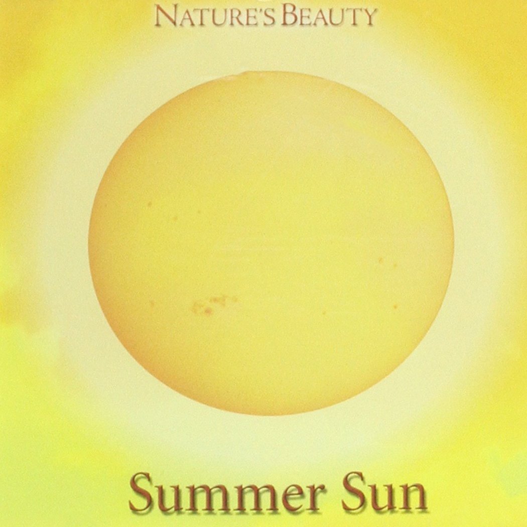 VARIOUS WELLNESS SUMMER SUN (CD) for sale online eBay