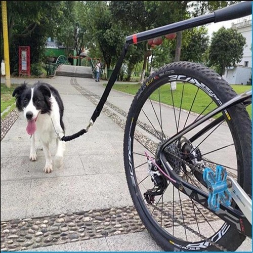 Fahrradleine Hund Set Fahrrad Hundeleine Abstandshalter mit Fahrradhundehalter - Bild 4 von 5