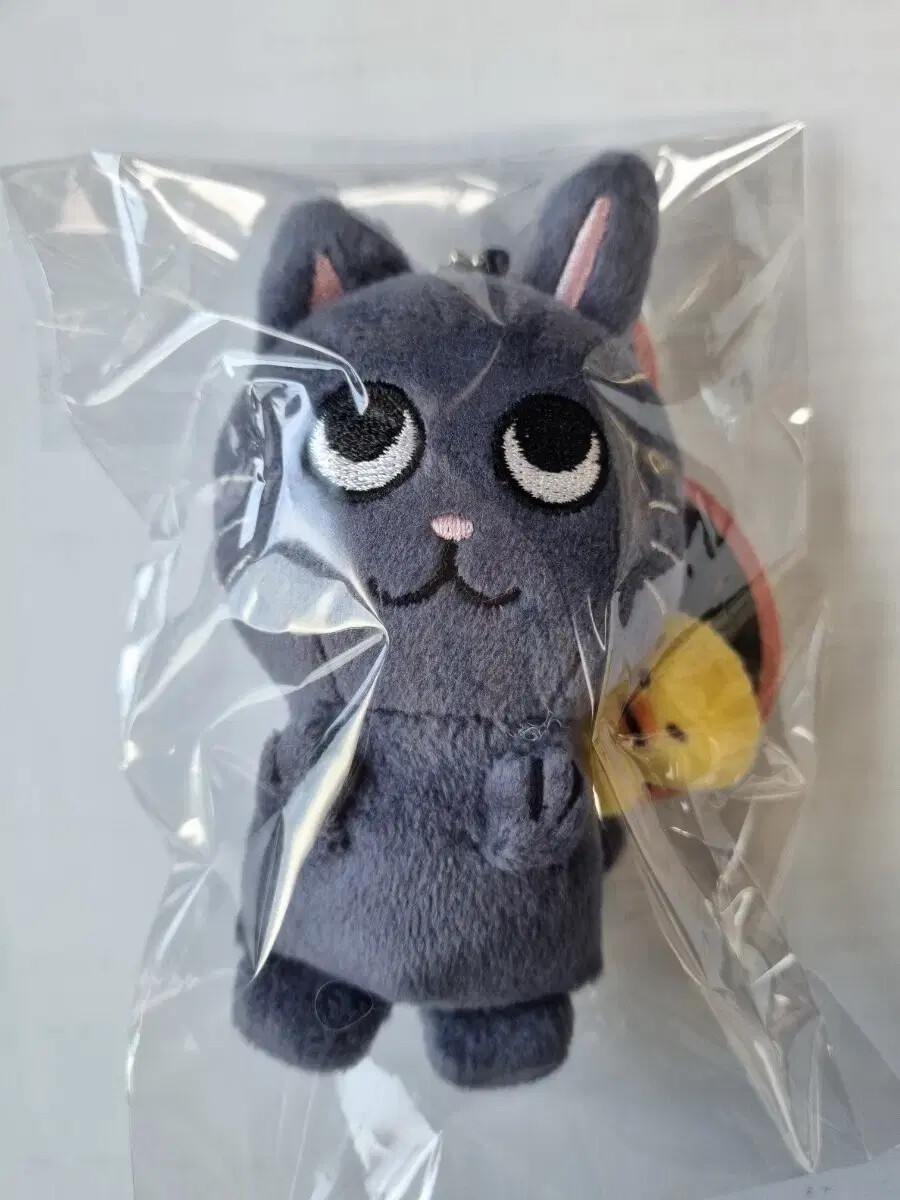 RIIZE 10cm doll ウォンビン　新品未開封 sealed Tonyangdeok riize Wonbin 10cm doll | eBay
