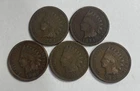 1892 1894 1902 1903 1904 Indian Head Cent Lot of 5