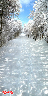 Outdoor 10'x20'Computer/Digital Vinyl Scenic Photo Backdrop