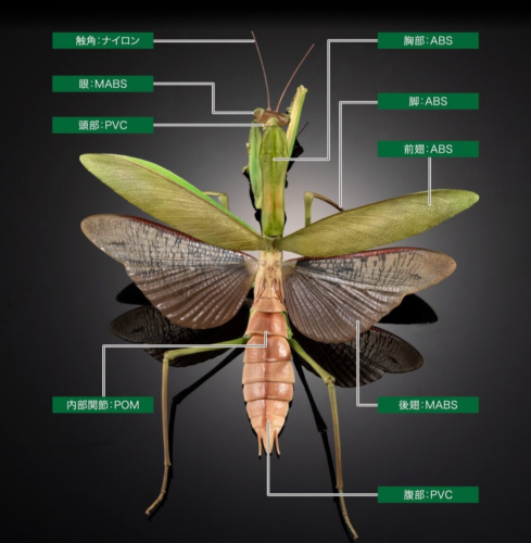 The Diversity of Life on Earth Mantis & Grasshopper w/ Wings & Stand Bandai - Picture 10 of 18