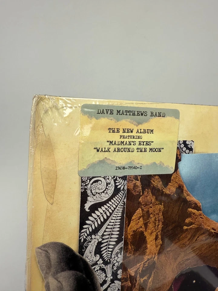 Dave Matthews Band : Walk Around The Moon (Vinyl) New Bend to Cover - Image 3 of 4