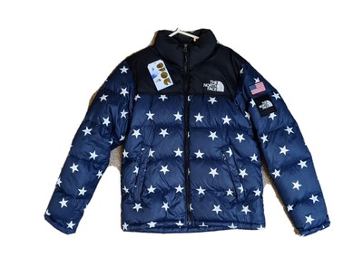 the north face international pack