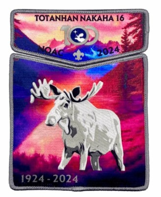 #ad #ad OA TOTANHAN NAKAHA 16 BSA NORTHERN STAR MN 2024 NOAC 2 PATCH DELEGATE MOOSE SET $71.77