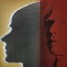 ANDY WARHOL Pop Art Poster or Canvas Print "The Shadow" Up to 24''