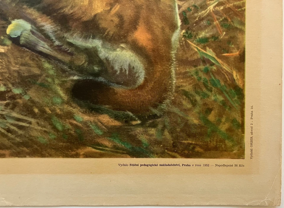PINTURA AL ÓLEO ORIGINAL NATIVA AMERICANA CHARLES WINFIELD MILLER "OSO CORRIENDO"   Foto 4 de 4