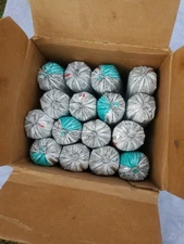 Dowsil 795 BLACK Silicone Building Sealant Sausage 20oz - 16/case - Jun 2026