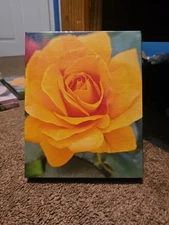 Picture of Flower Taken by Me Printed On Canvas Wall Art