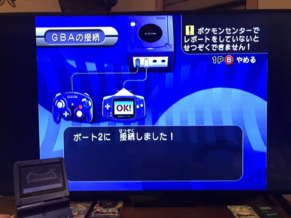 Pokemon Colosseum Bonus Disc Japan Agate Celebi Event Distribution Service - Image 4 of 4