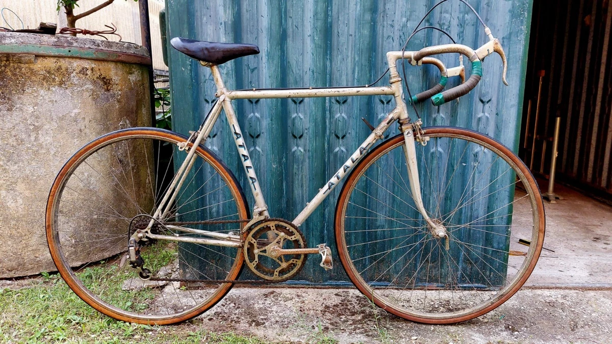 Vélo De Course Atala Campione D'Italia 1982/83, Cadre 55 Cm, Bleu, Neuf