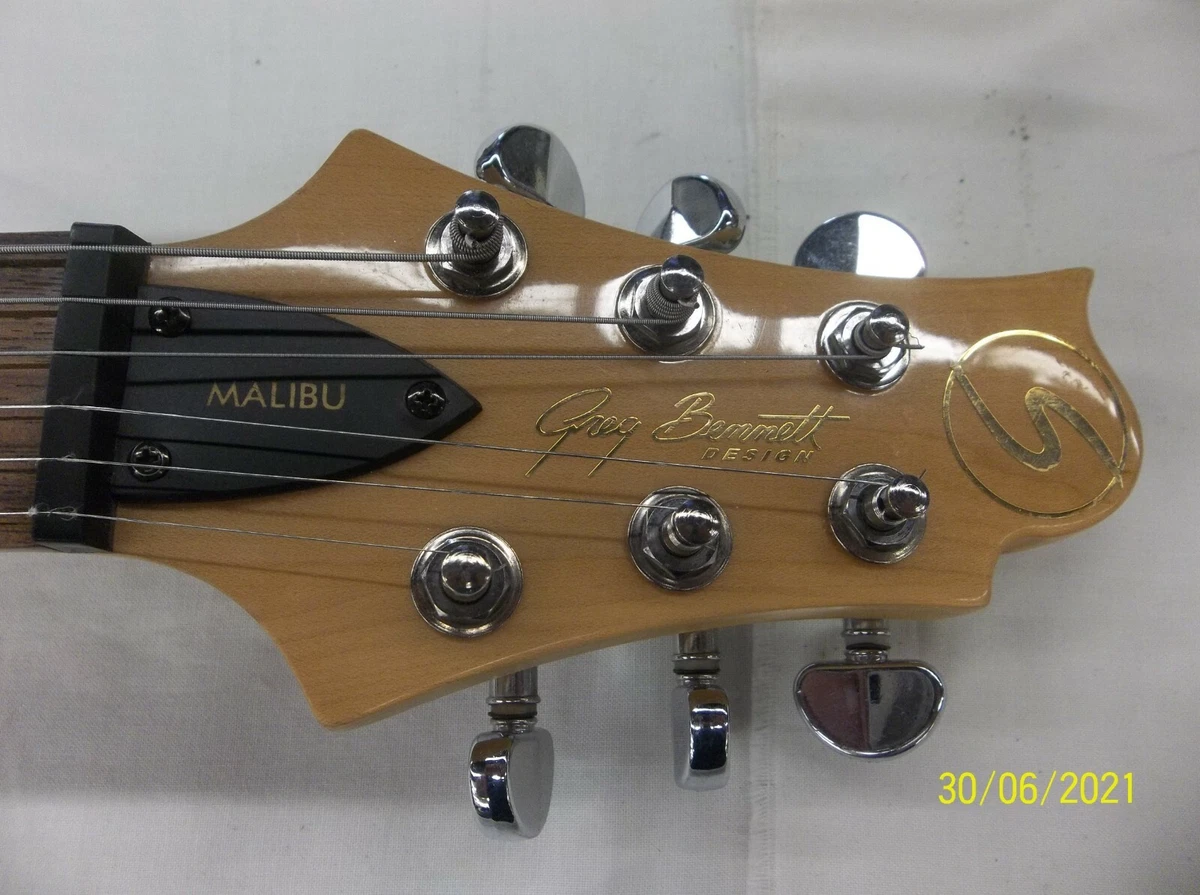 Greg Bennett Design by Samick Signature Series Malibu Electric