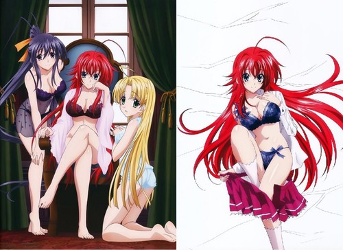 High School DxD Rias Asia Akeno Long Posters(2posters) Japan FS +Tracking No. - 第 1/12 張圖片