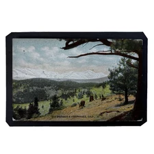 Audubon & Arapahoes Mountains CO valley view  FABVINTY BARGAIN POSTCARD