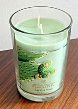 Chesapeake Bay Candle Cactus Pear 2 Wick 19 oz. Poured in the USA - Hard to Find