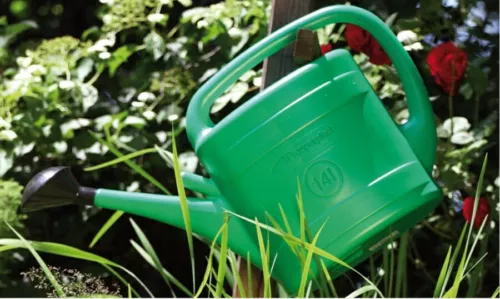 watering can green plastic with diffuser sizes garden patio 3l 5l 8l 10l image 4