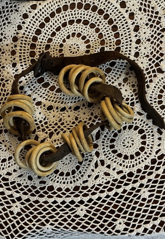 Antique Rustic Equine Tack: Celluloid Rings Various Sz•Lot Of 25• on crude Strap