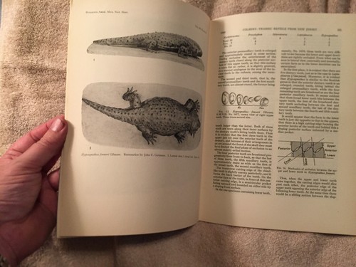 Hypsognathus, A Triassic Reptile from New Jersey by Edwin Harris Colbert (1946) - Imagen 3 de 4