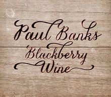 Blackberry Wine [Vinyl LP] von Paul Banks | CD | Zustand sehr gut