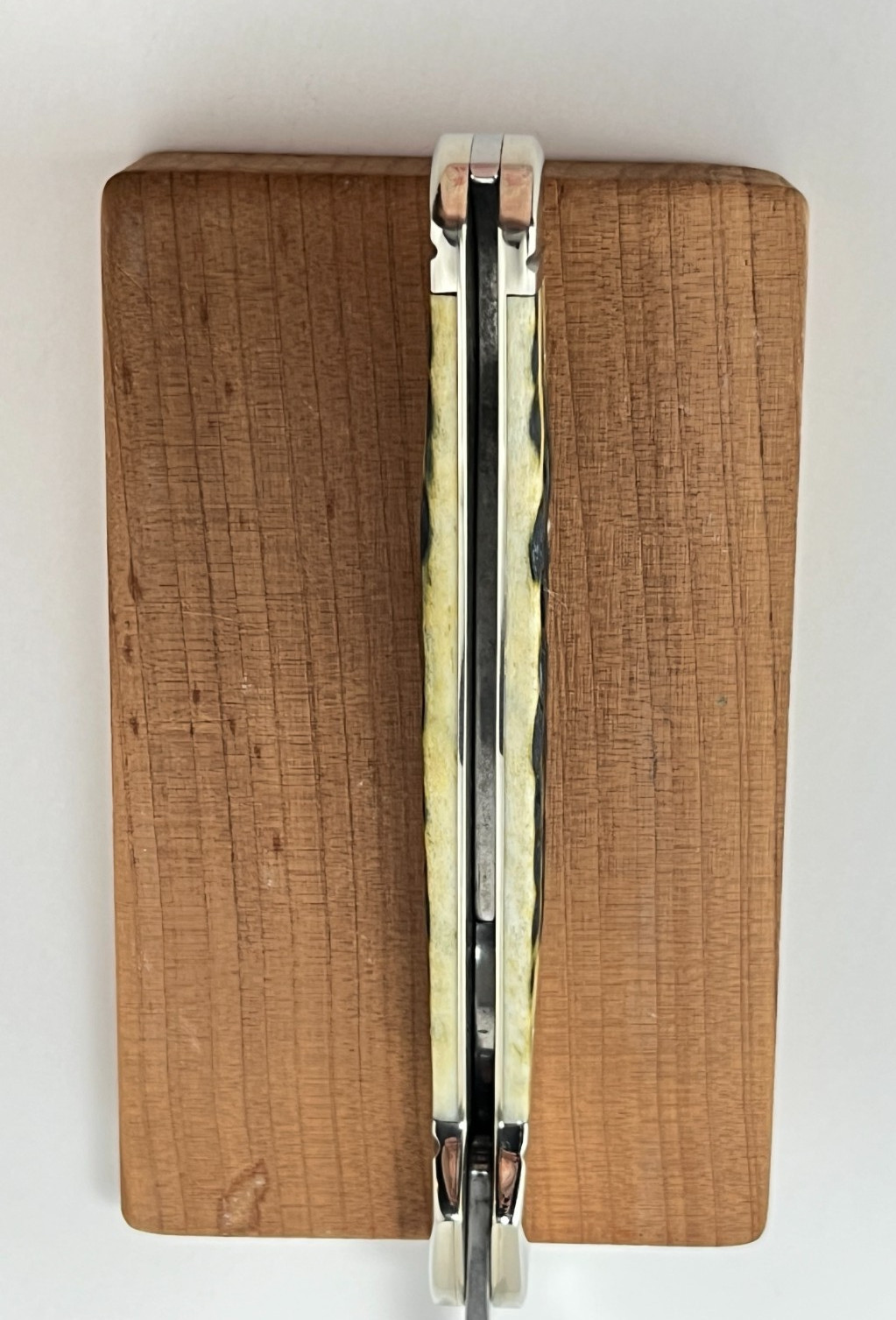 Case XX Pocket Worn CopperLock Knife 1 Blade Bone  #61549L SS Olive Green NEW