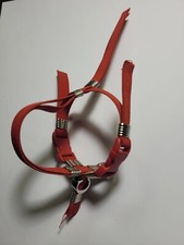 Elastic Harness Steel Buckles with Initial Letter Parrots All Breeds