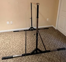 Developmental Gymnastics: Horizontal Bar and Beam