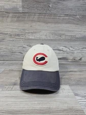 Vintage Chicago Wells American Needle New-Timer Snapback Hat Cap Adult 