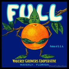 Vintage Full Florida Orange Fruit Label Reproduction Metal Sign FREE SHIPPING