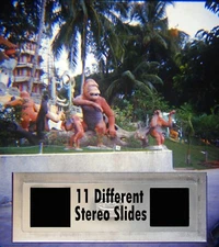 11 Vintage 1950 3D Stereo Realist Slides Photo Singapore Haw Par Villa Art Show