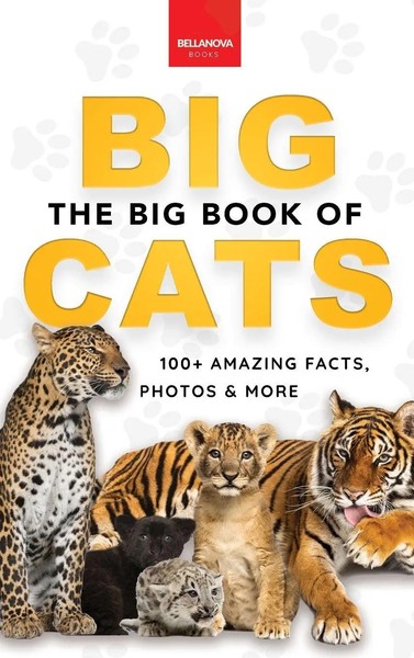 The Big Book Of Big Cats | Jenny Kellett | Buch | Animal Books for Kids | 2023-image