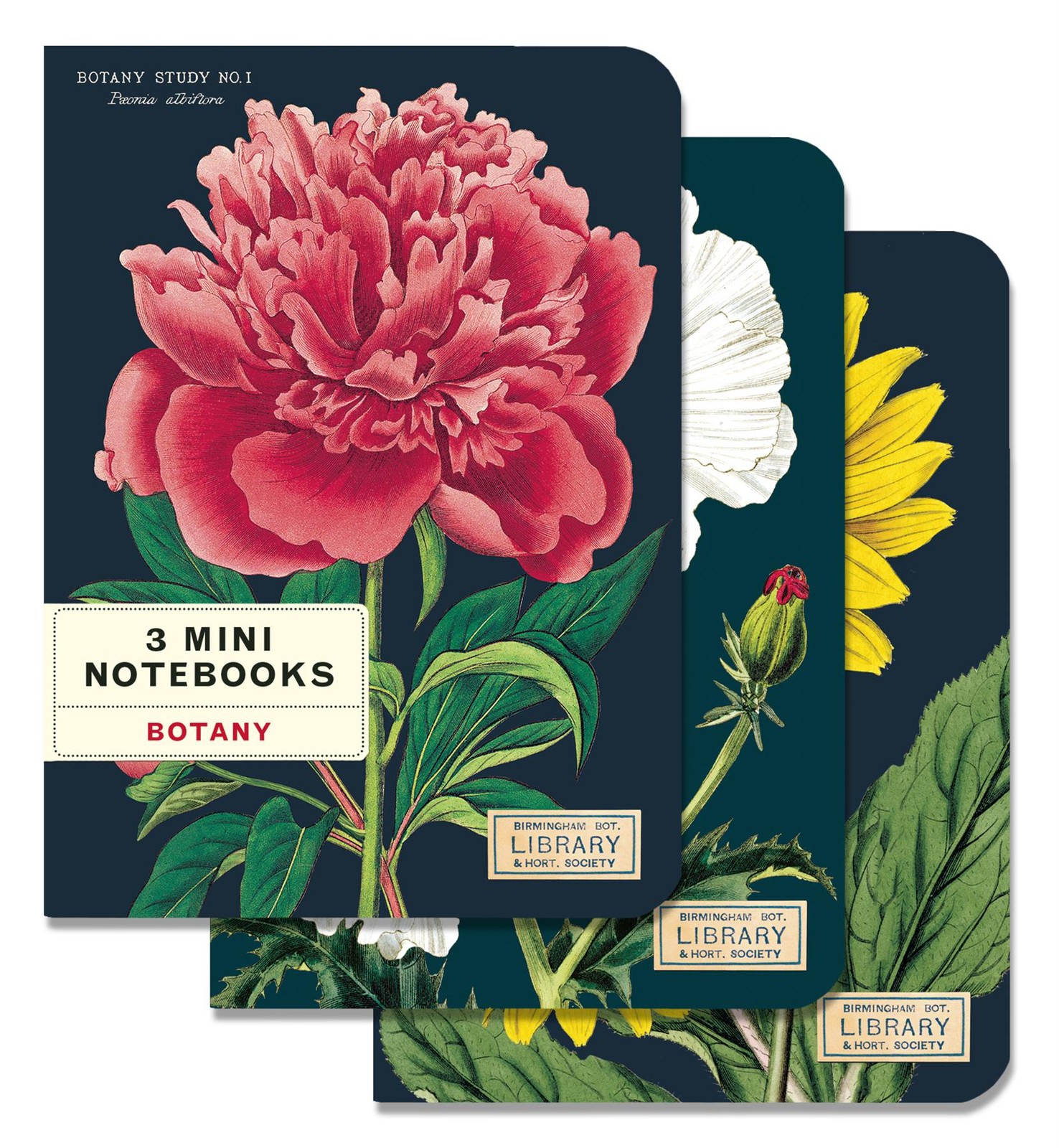 Cavallini - Set of 3 Mini Notebooks - Botany - Lined, Blank & Graph Interiors