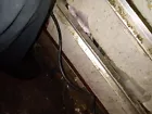 Picture 10 of 10