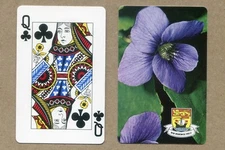 NEW BRUNSWICK, CANADA. Purple Violet. Queen of Clubs. SWAP PLAYING CARD