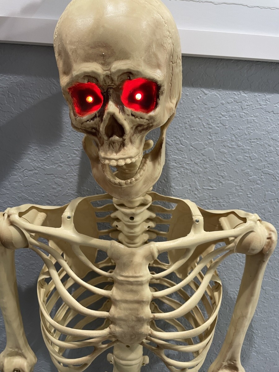 Halloween Posable Skeleton Prop Light Up Eyes - 5ft 5349