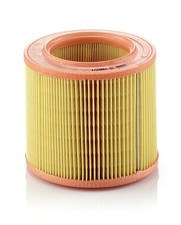 Filtre à air Triumph 2500
