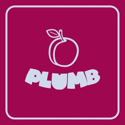 New: PLUMB - Ray Angry, Questlove, David Murray, 4 Vinyl LP Set