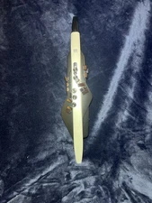 Roland Aerophone  AE-20 Digital Wind Instrument Matte Black/White