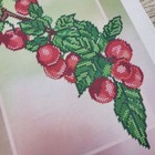 Bild 3 von 11