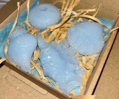 Wax Melts KOKOSWASSER & HIMBEERE Duft stark duftend X4 Sea Life Geschenkbox