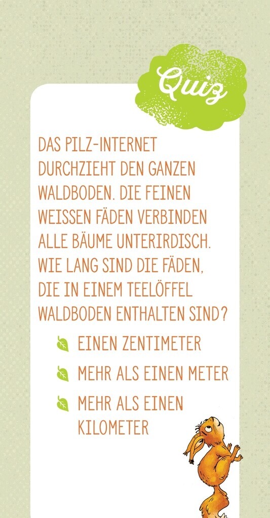 Thumbnail - Peter & Piet Mein Großes Waldquiz