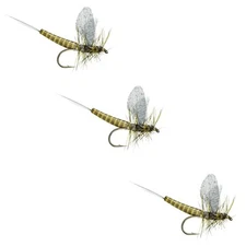 Premium Dry Flies for Trout - Lucent Wing Green Drake - 3 Pack - Hook Size 12