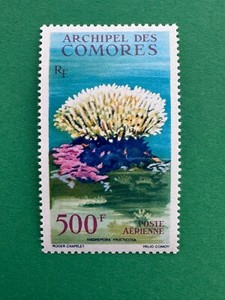 Comoro Islands Scott# C6 MNH OG XF High Value 1962 Airmail Coral CV$25
