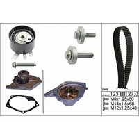 INA 530 0197 30 Wasserpumpe Zahnriemensatz FüR Renault Clio I Kangoo Megane I