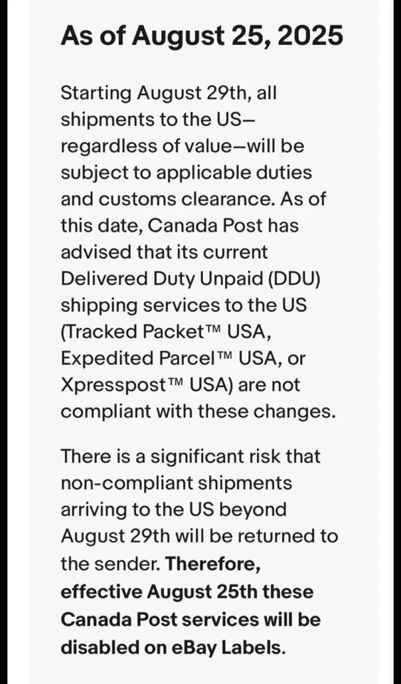 Bandera de fútbol de la Selección Nacional de Alemania usada 35" x 60" Foto 2 de 2