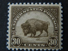 US SC#  569 BISON MINT NEVER HINGED