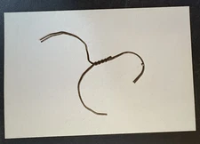 art postcard David Jelinek Hangers gallery invitation