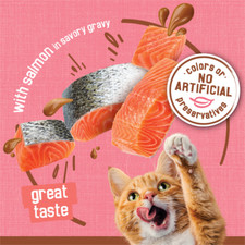 Purina Friskies Extra Gravy comida húmeda para gatos salmón grueso salado 156G paquete de 24 5,5 OZ
